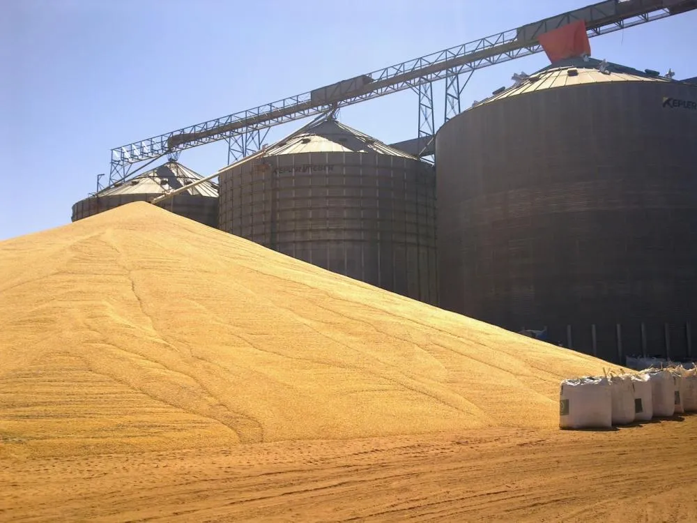 Capacidade de armazenamento agrícola cresce 2,1% no Brasil em 2024