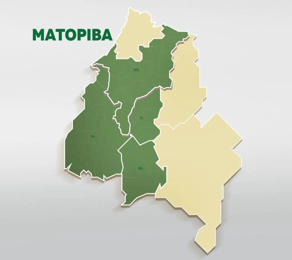 Piauí, Maranhão, Tocantins e Bahia formalizam criação do Matopiba