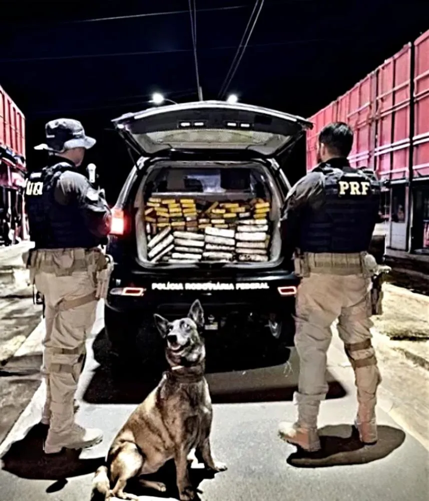 Rodovias do Tráfico: PRF apreende mais de 230 kg de drogas em Picos e levanta suspeitas sobre rota do narcotráfico no Piauí
