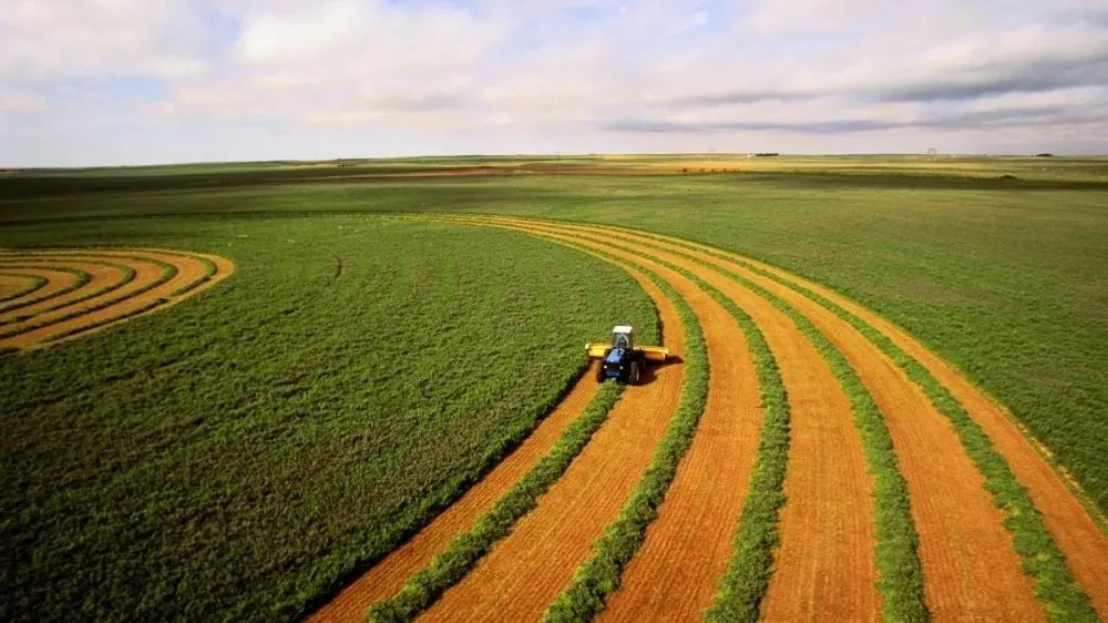 Crédito mais caro e corte de incentivos: Plano Safra 2025/2026 desagrada setor agropecuário