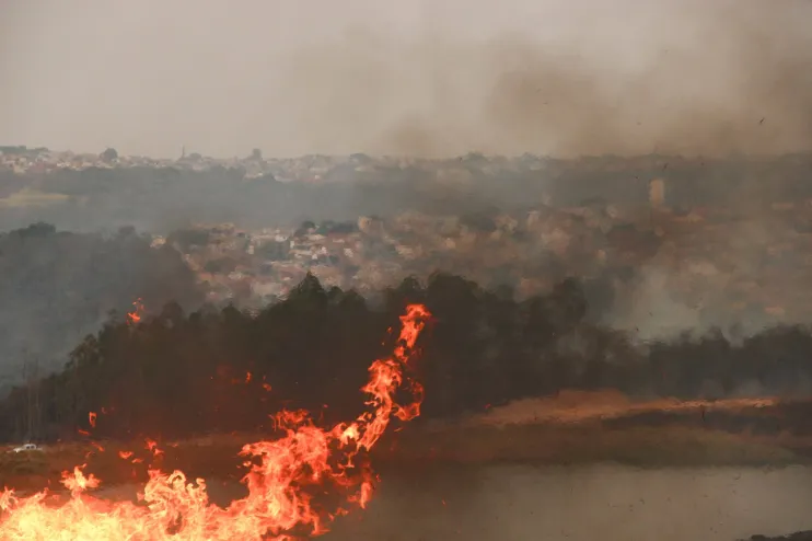 São Paulo em chamas: Incêndios estão fora de controle e o Estado registrou quase 2 mil focos em 24 horas
