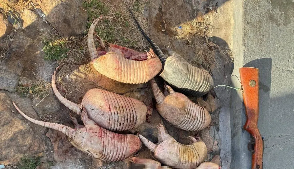 Polícia apreende animais abatidos e prende caçadores na zona de proteção da Serra da Capivara