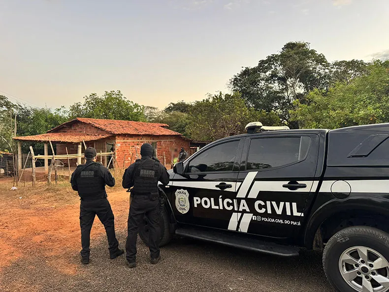 Draco desarticula célula de facção criminosa em operação com 12 presos no Piauí