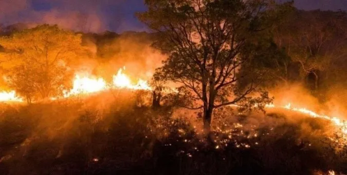 Enquanto o Brasil arde, o governo dorme: Tragédia das queimadas exige ação imediata de Lula e Marina Silva; PF abre mais de 30 inquéritos para investigar incêndios