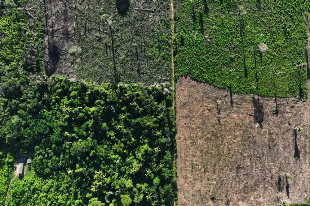 Desmatamento na Amazônia cresce 27% no semestre, puxado por propriedades privadas e áreas sem registro