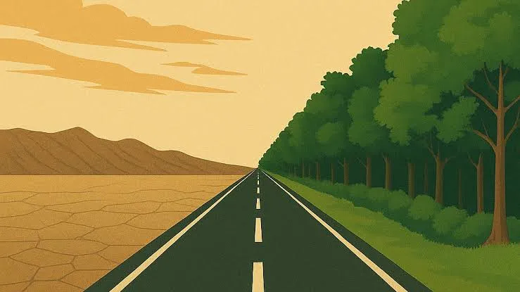 Caminhos sem voltas?