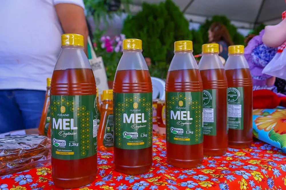 Cooperativa do Piauí exporta mel da agricultura familiar para o Japão pela primeira vez