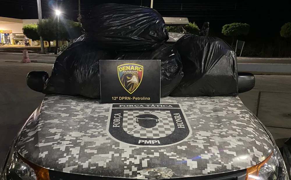 Operação policial apreende 83 kg de maconha e prende foragido no Sul do Piauí