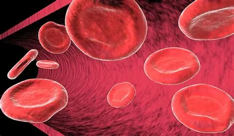 Anemia compromete cérebro, músculos e coração: veja cinco impactos graves da doença na saúde