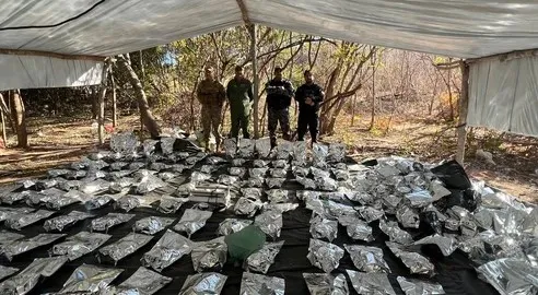 Cultivo milionário: dono de fazenda no Sul do Piauí é investigado após apreensão de 1,5 tonelada de maconha