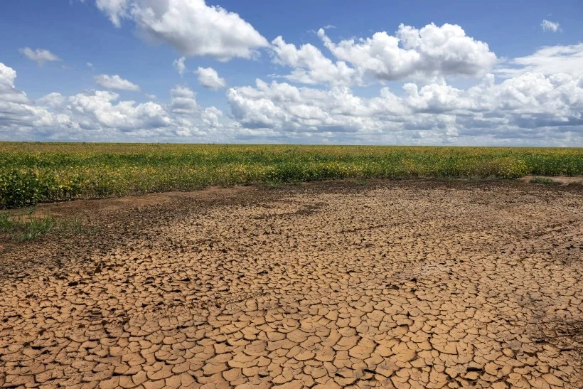 Seca se agrava e atinge 100% do território do Piauí, aponta monitor da Semarh