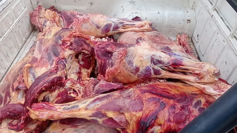 Fiscalização apreende 300 kg de carne clandestina na zona Sul de Teresina
