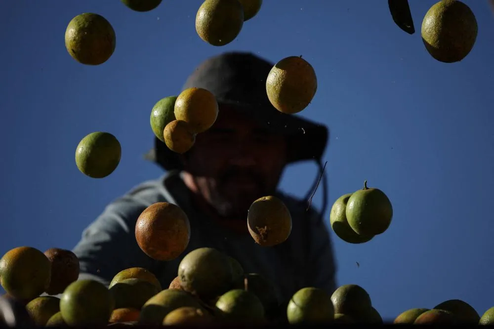 Tarifaço de Trump exclui setor aéreo e derivados do petróleo; confira lista