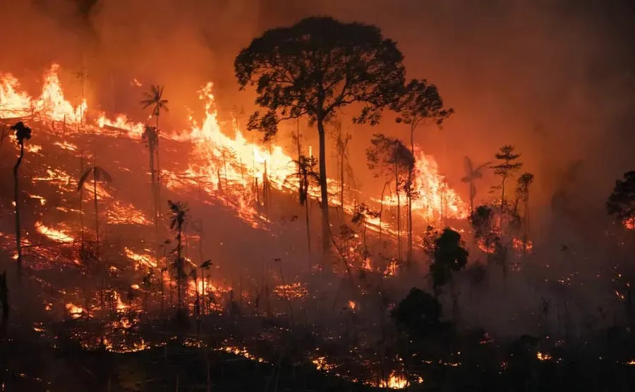 Piauí em chamas: Estado já ultrapassa 2 mil focos de incêndio em 2025