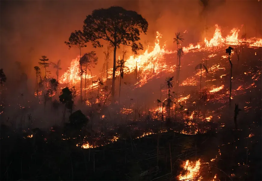 Amazônia registra mais de um foco de incêndio por minuto nos últimos dias