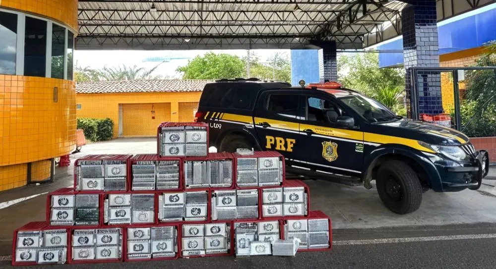 Piauí: entre consumidor, distribuidor e corredor do narcotráfico