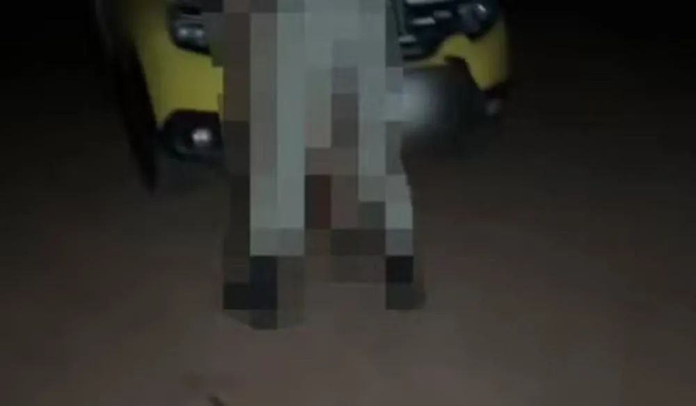Policial do Paraná é investigado após vídeo de sexo em viatura viralizar