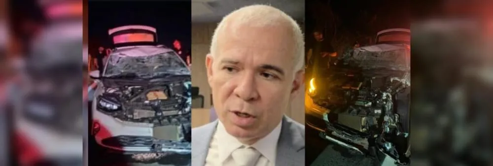Deputado escapa por pouco em acidente com bois soltos na BR-343, em Campo Maior
