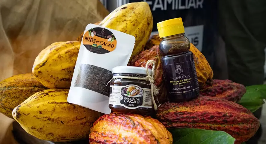 Do chocolate aos cosméticos: cacau da Bahia ganha novos usos e conquista mercado