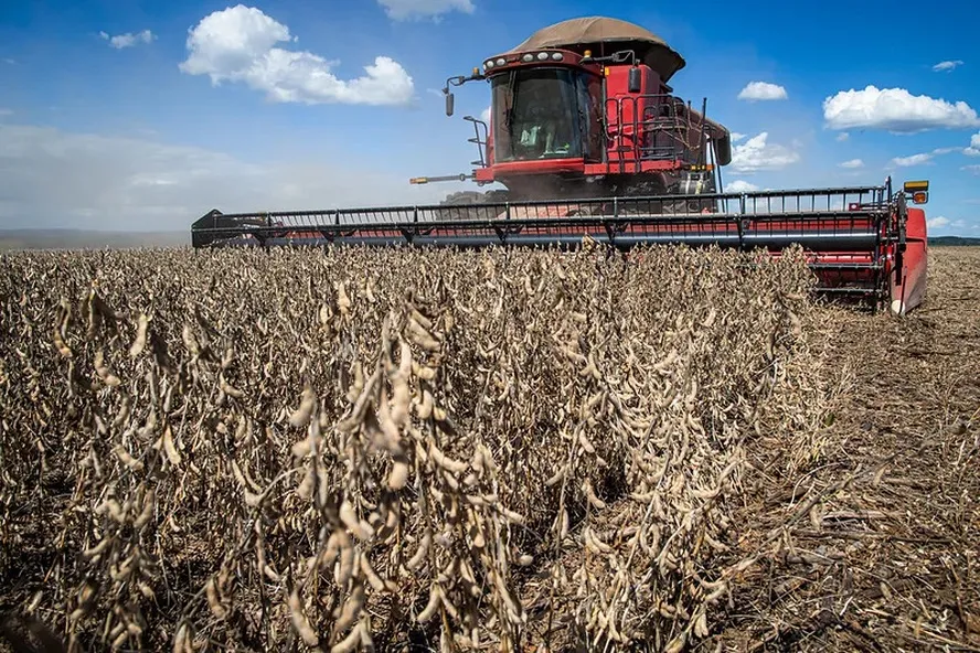 Produção agrícola do Brasil perde quase 4% em 2024