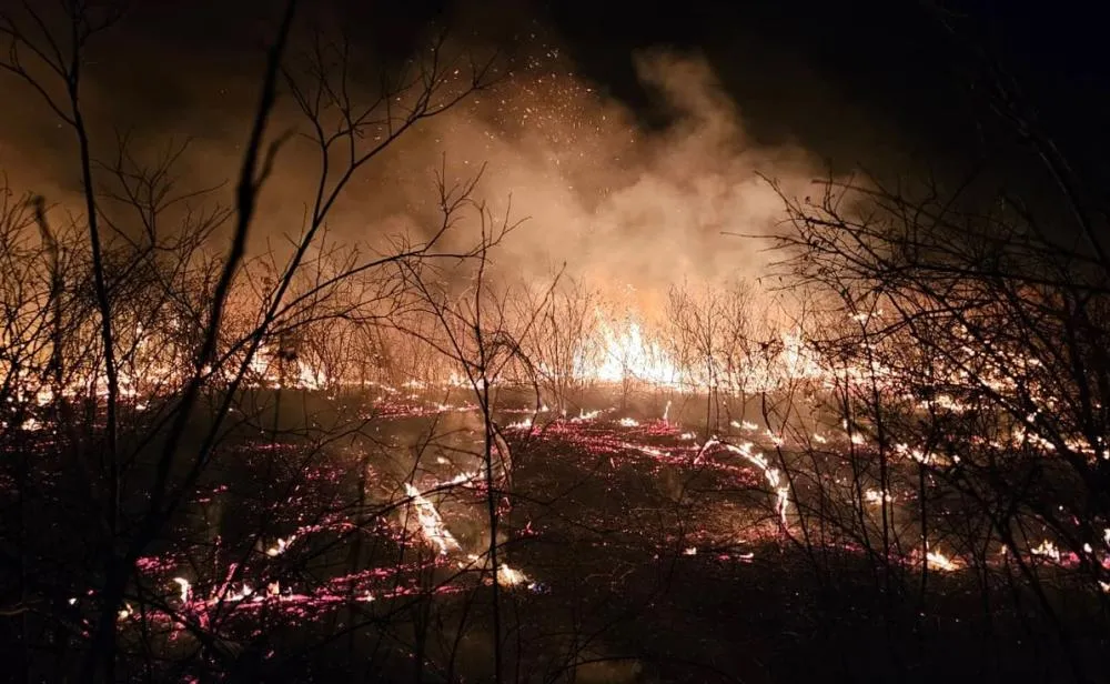 Pimenteiras em chamas: fogo ameaça moradores, destrói 73 km² e é finalmente controlado
