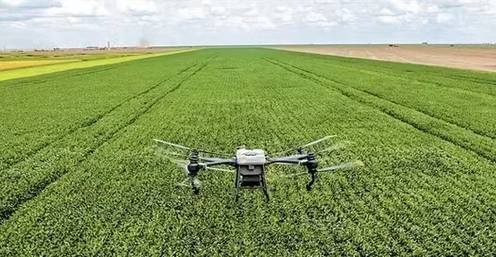 Inovações tecnológicas aliadas à IA revolucionam o Agro no Brasil