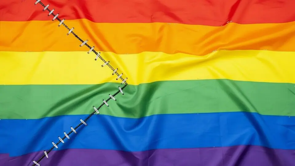 Movimento LGB rompe com a sigla LGBTQIA+ e critica ativismo trans