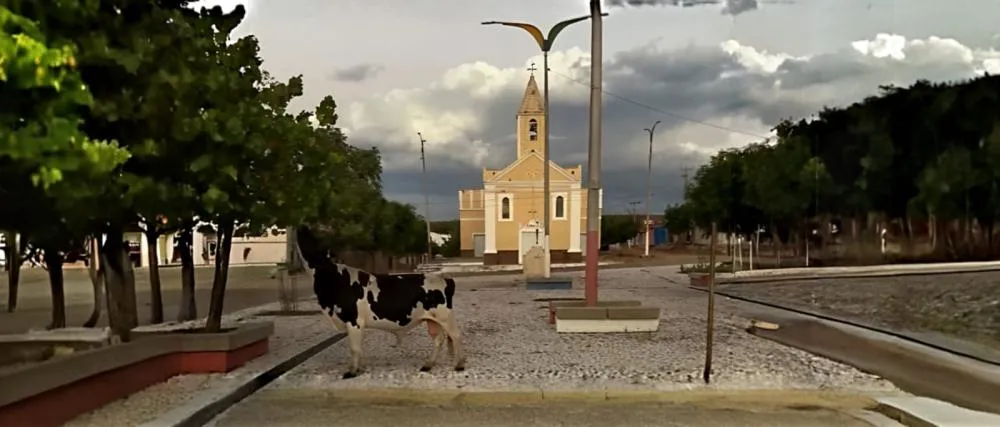 Uiraponga/CE e Torquato Neto/PI: quando o crime toma o lugar do Estado no Nordeste