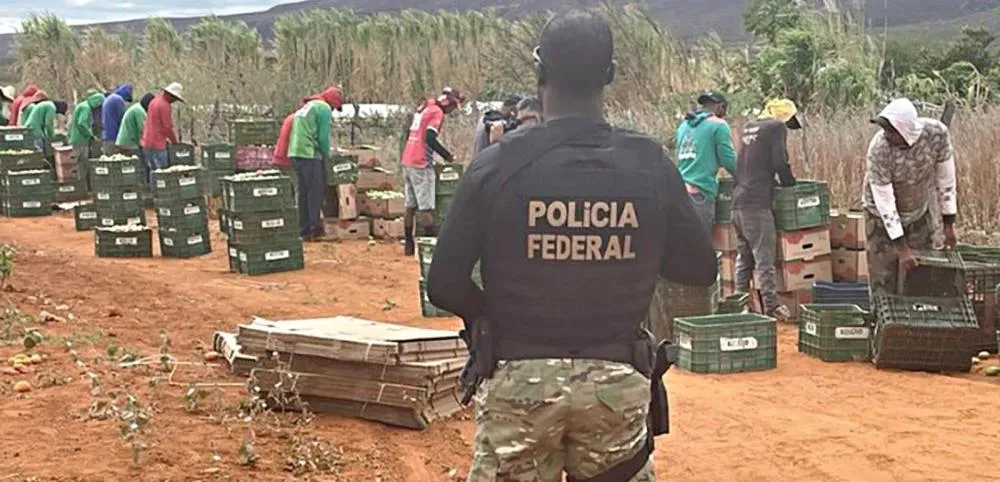 Piauí na “Lista Suja”: a vergonha silenciosa do trabalho escravo moderno