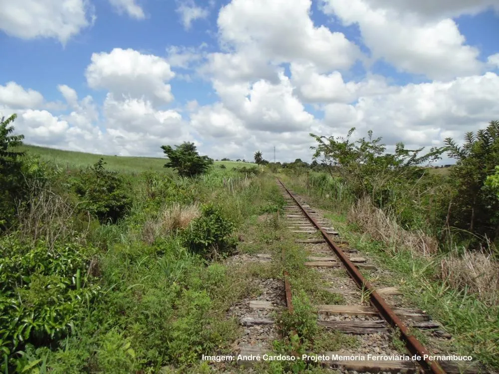 Ferrovias do Nordeste: União e FTL travam disputa bilionária; entenda