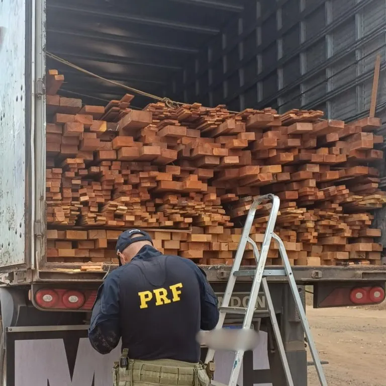 PRF apreende 37 m³ de madeira irregular durante fiscalização em Picos (PI)