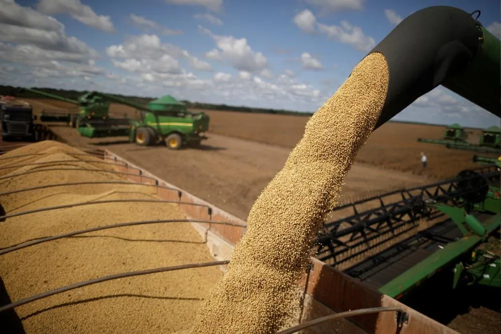 Acordo entre EUA e China derruba prêmios e paralisa vendas de soja brasileira