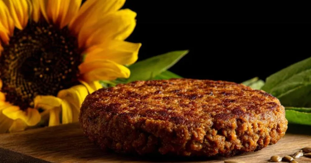 Carne de girassol pode virar a nova estrela das proteínas vegetais