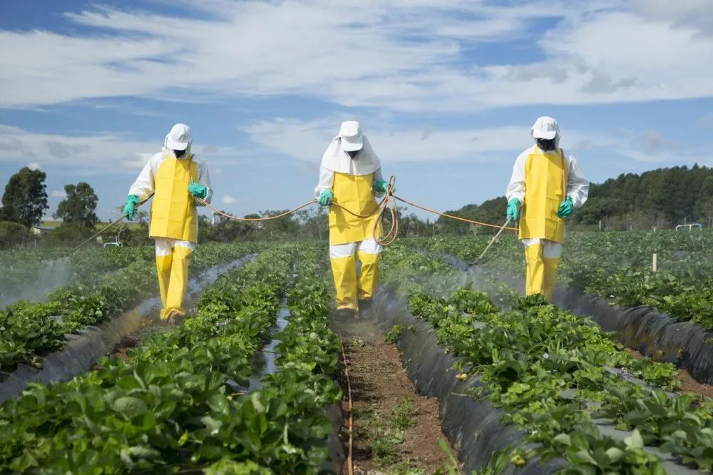 Agrotóxicos no Brasil: o que é fato e o que é mito?