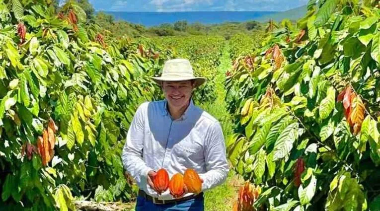 Brasil pode erguer a maior fazenda de cacau do planeta — e virar o fiel da balança do chocolate mundial