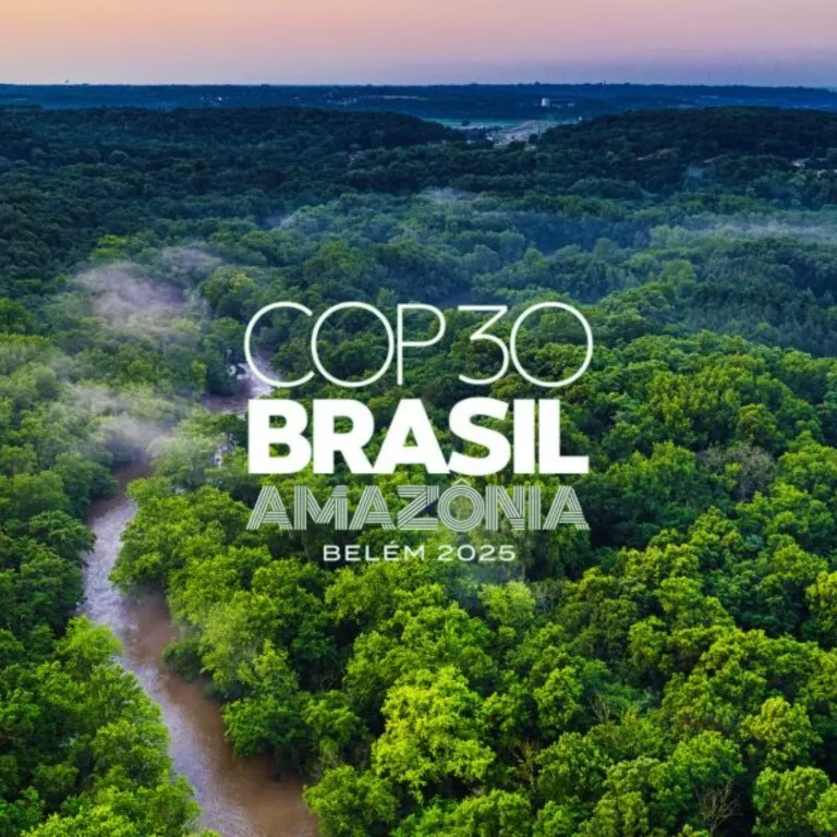 O show acabou - a máscara caiu e o dinheiro sumiu