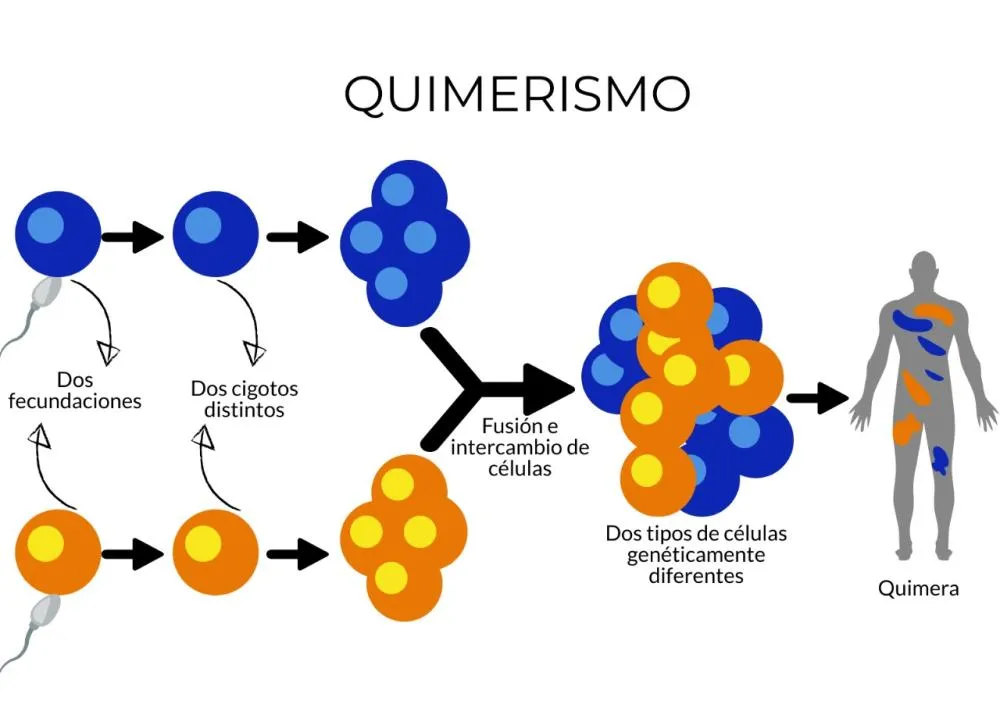 Quando o DNA mente: o caso viral do “pai sem irmão” e o alerta que o Brasil precisa ouvir