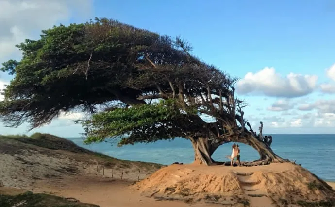 Maxaranguape, onde o amor cria raízes e o litoral potiguar hipnotiza