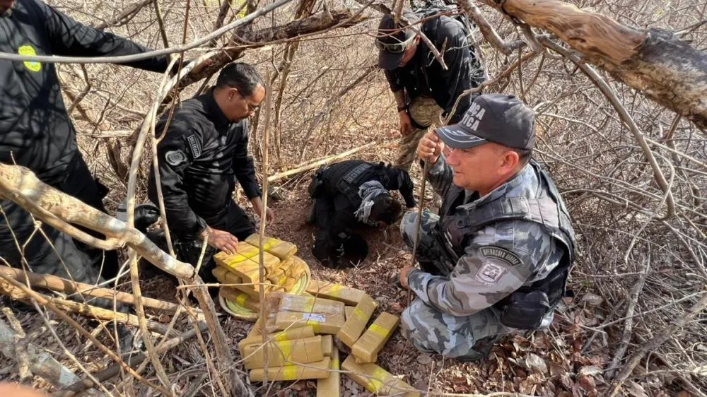 R$ 60 milhões em drogas apreendidas, e o narcotráfico segue intacto