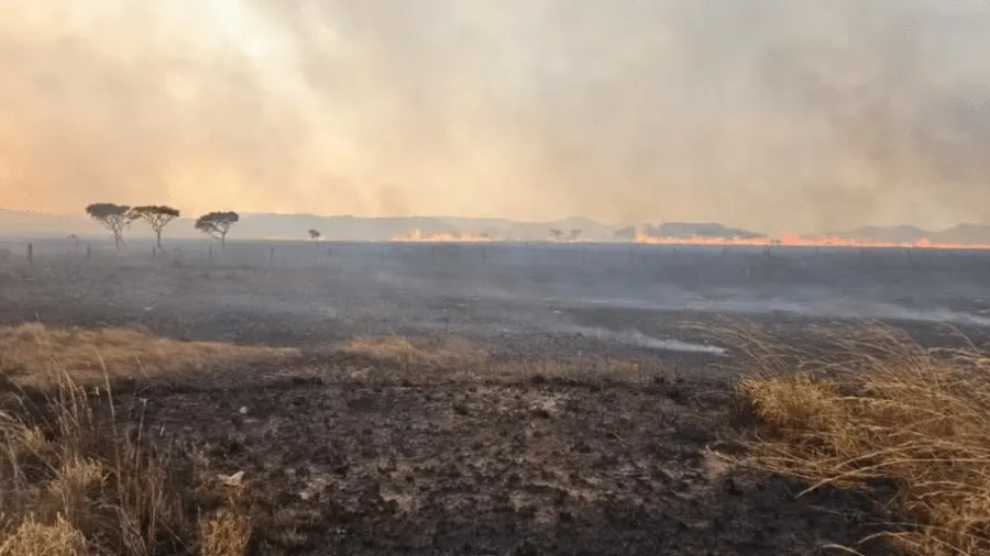 Brasil em chamas: A inércia de um governo ante a devastação ambiental; 10 mil hectares foram destruídos no Goiás