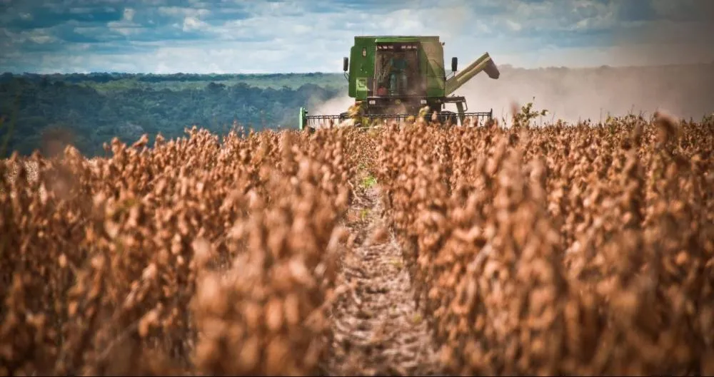 Clima fora do script atrasa plantio e muda planos da safra 2025/2026