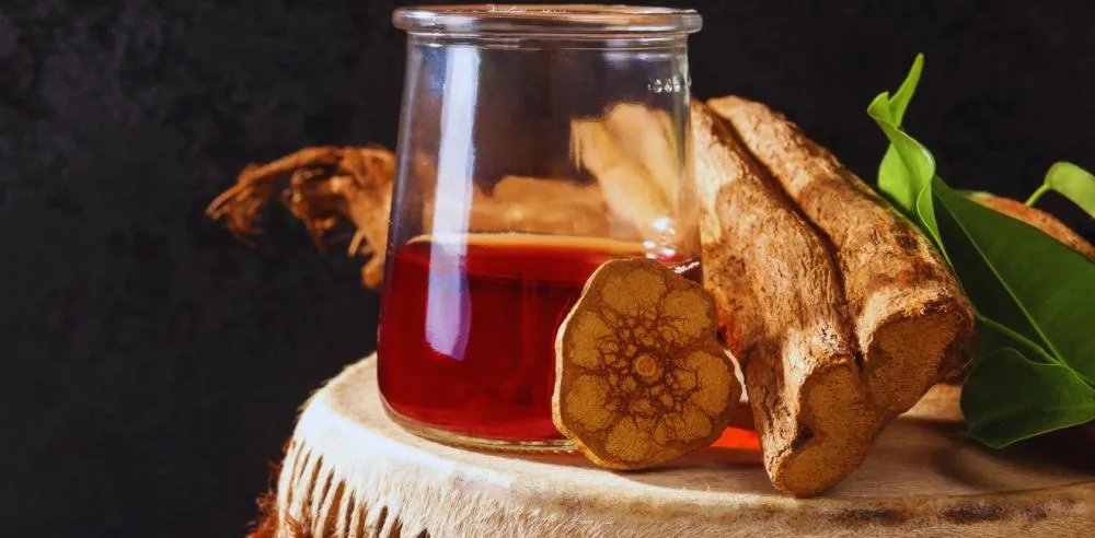 Ayahuasca na mira do Estado