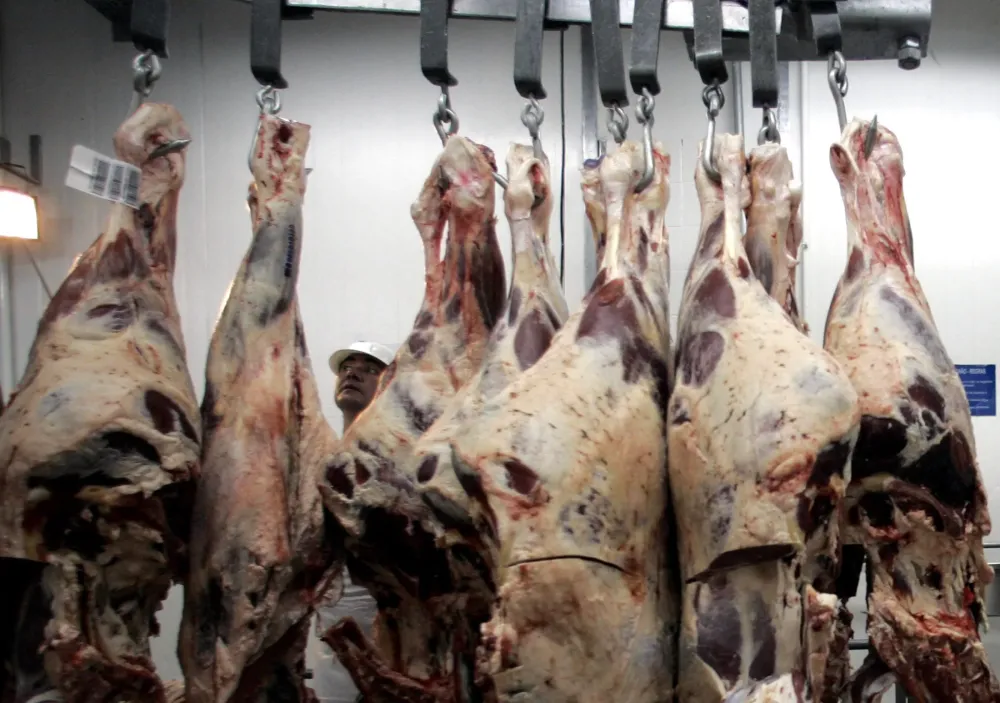Brasil supera EUA e lidera produção mundial de carne bovina em 2025