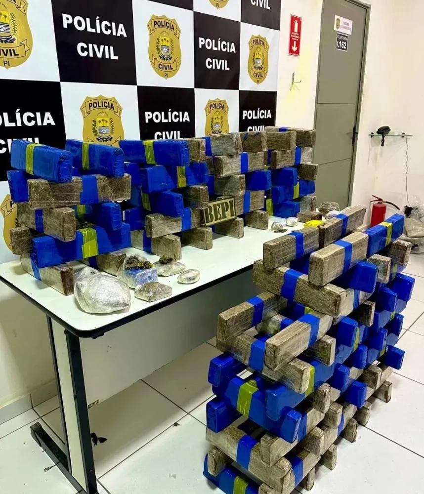 Teresina sob a sombra do tráfico: Operação desmonta depósito com mais de 100 kg de maconha
