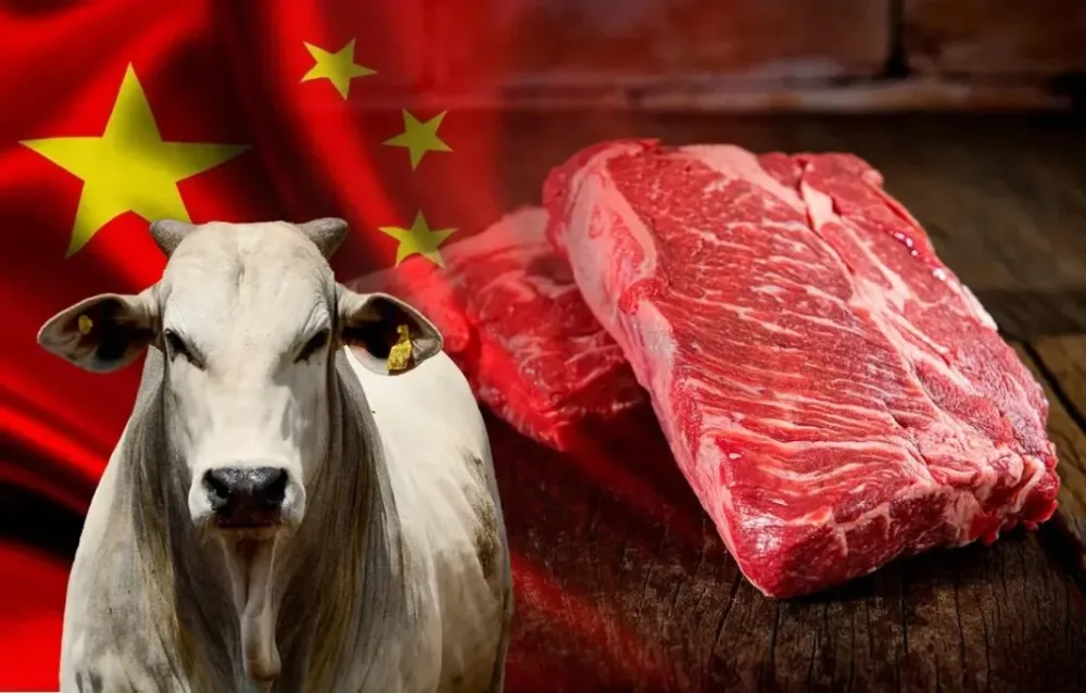 China aperta o cerco e taxa carne brasileira acima da cota