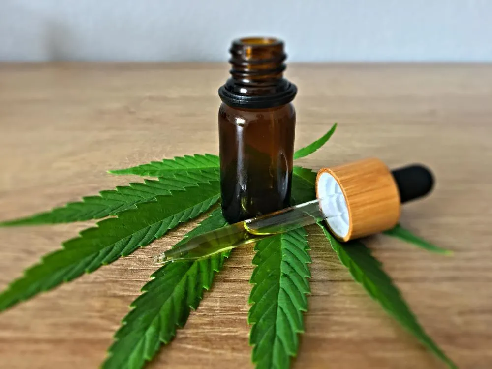 Superestudo freia o entusiasmo em torno da maconha medicinal