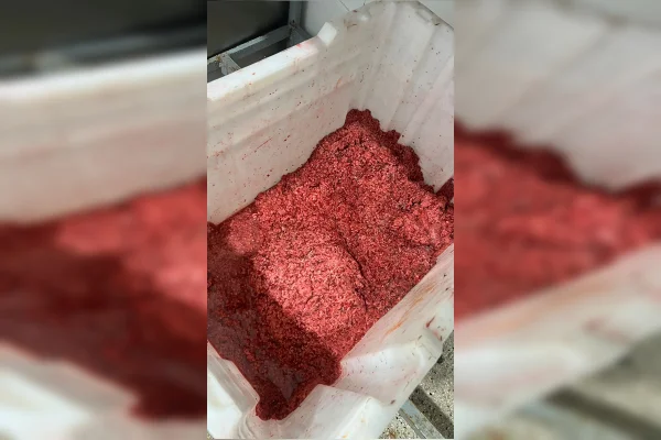 Polícia flagra fábrica de espetinhos com carne “pintada”; veja vídeo