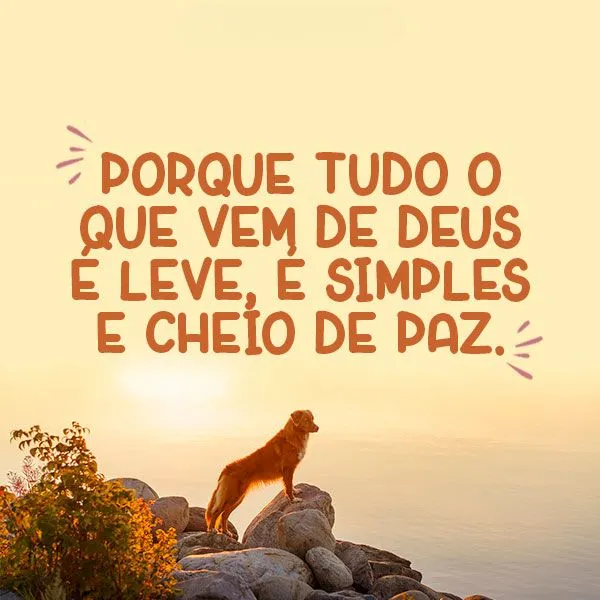 Experiência de vida?
