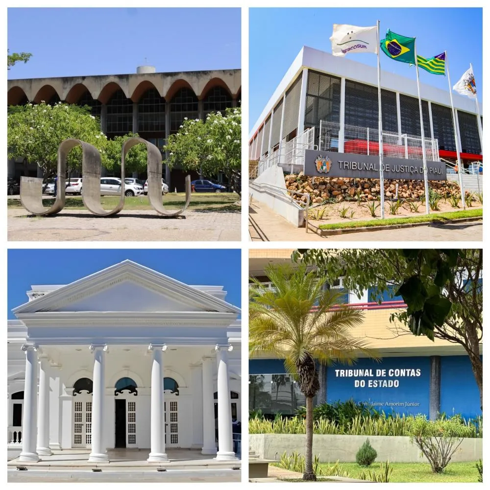 Democracia em Tons de Cinza no Piauí