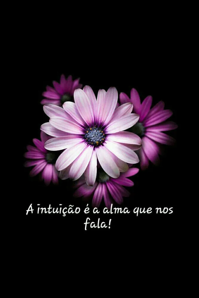 Olhando de trás pra frente?